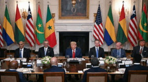 trump africa