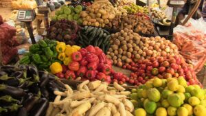 Legumes mauritanie