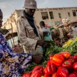 Mauritanie : une nouvelle stratégie nationale pour soutenir les petites entreprises